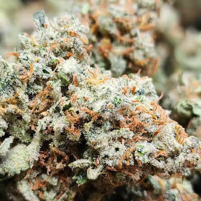 Forbidden Zkittlez - Imagem 4