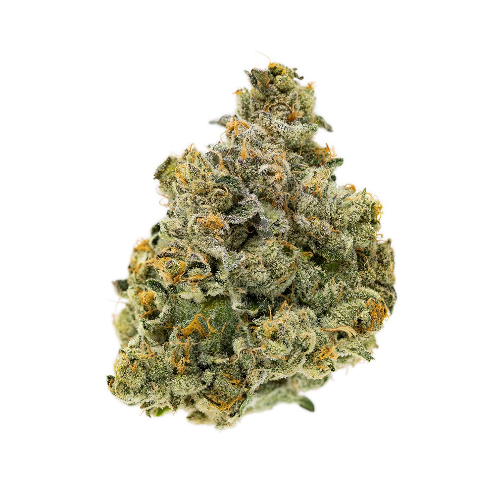 Baby Jokerz - Imagem 3