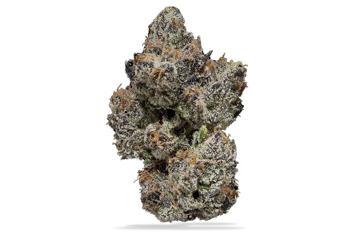 Obama Runtz - Imagem 3