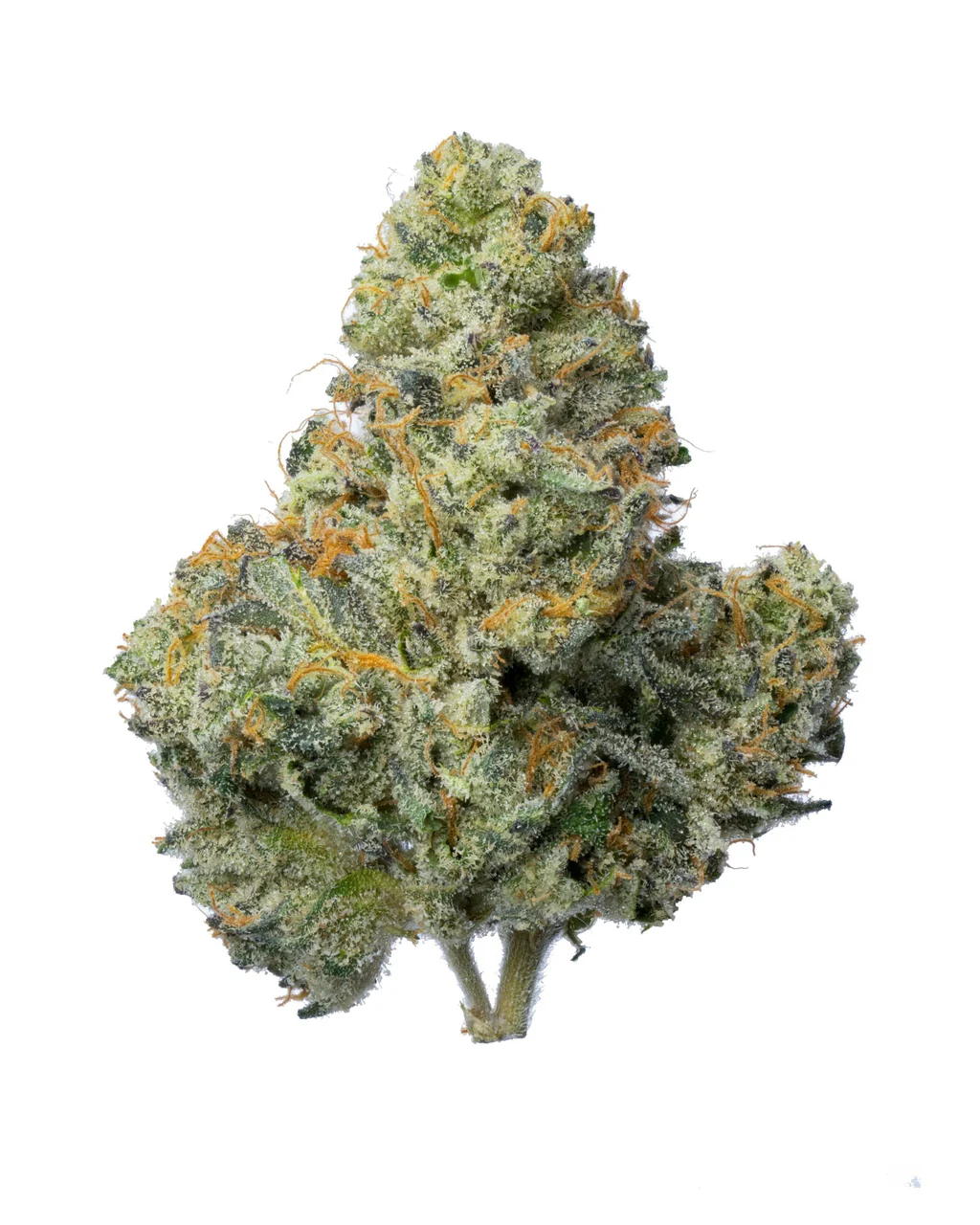 Animal Runtz - Imagem 2