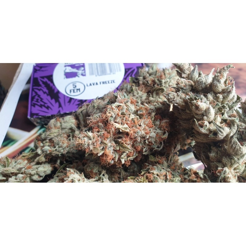 Lava Freeze - Imagem 4