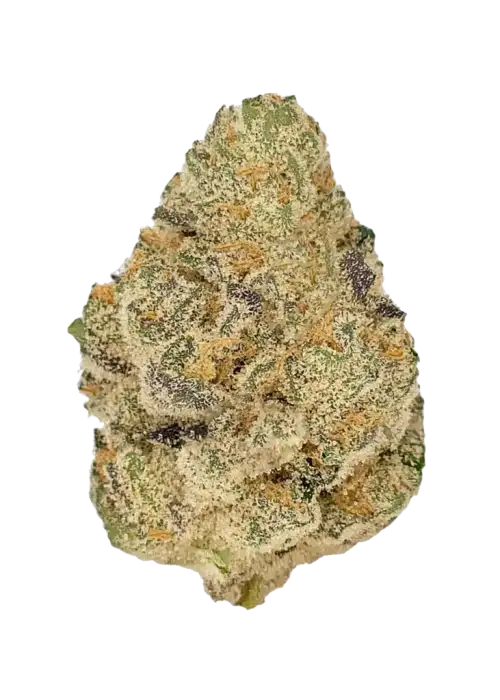 Tropic Punch - Imagem 2