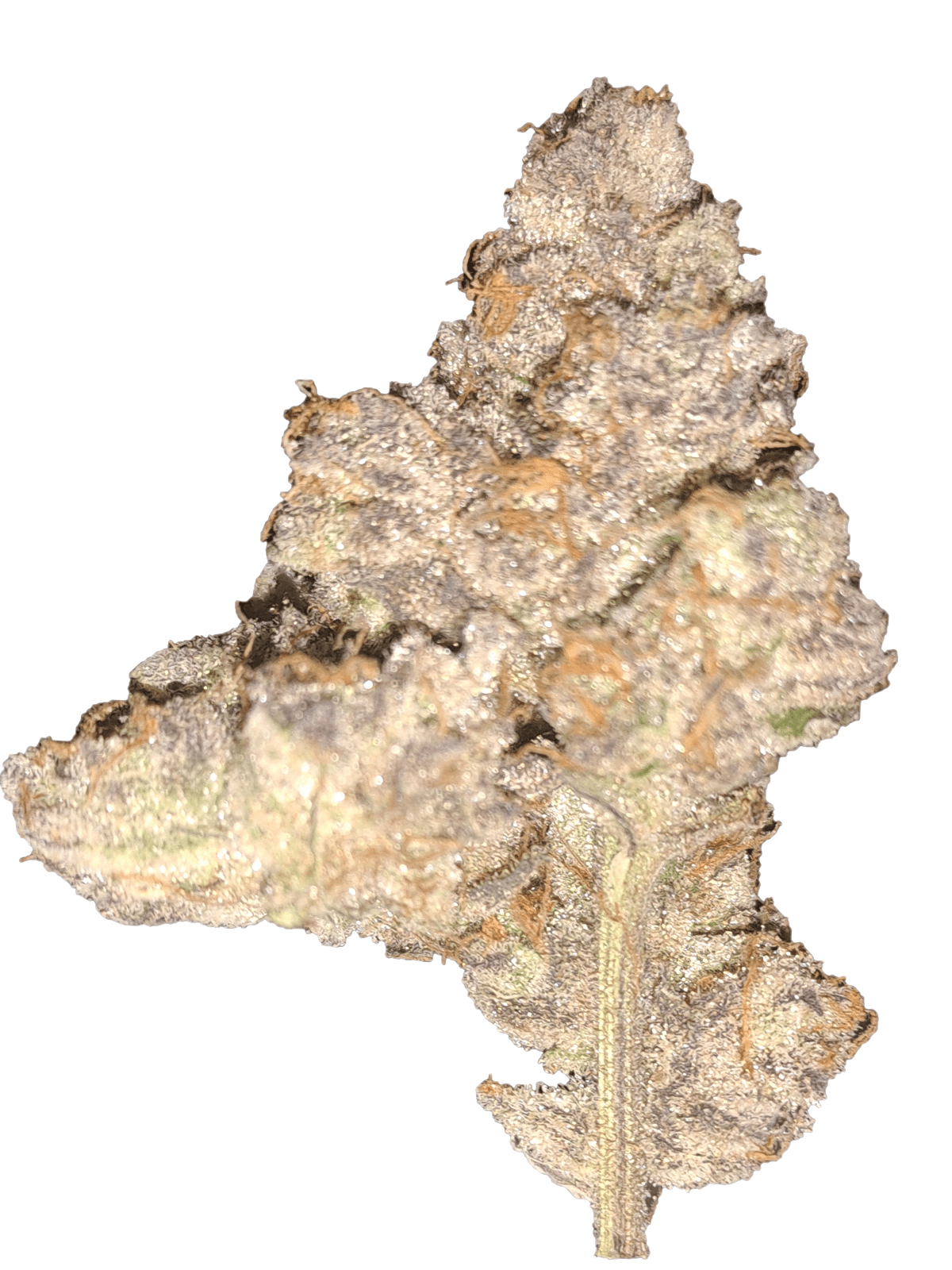 Wassabi Runtz - Imagem 3